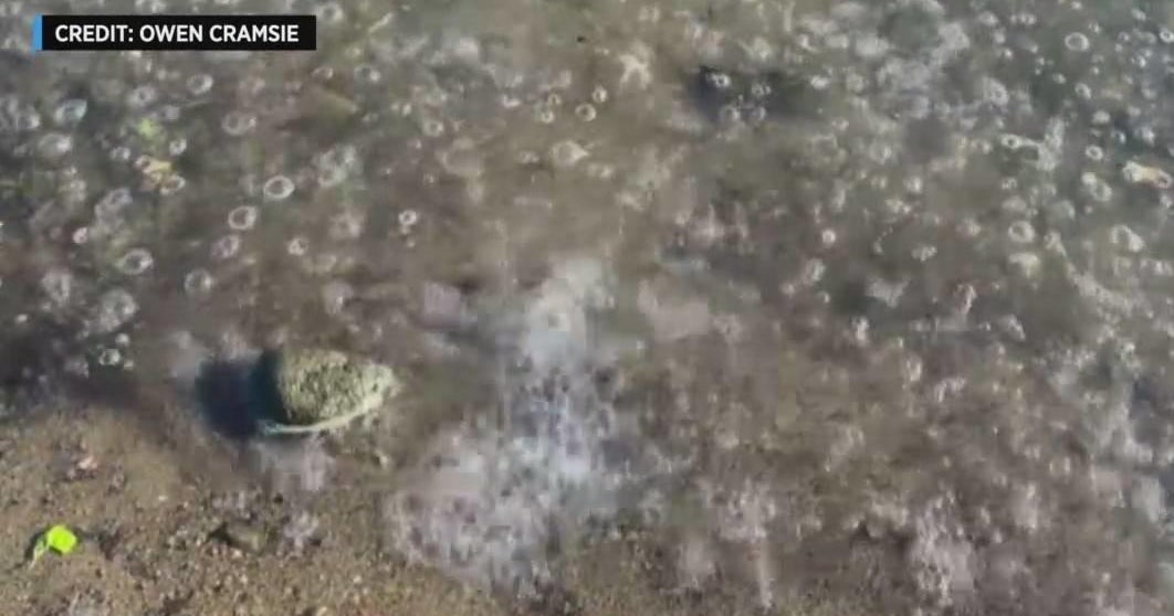 Experts puzzled by "vigorous" bubbling in Hudson River CBS New York