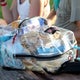 State Fair of Texas introduces clear bag policy, 'see something, say something' program 