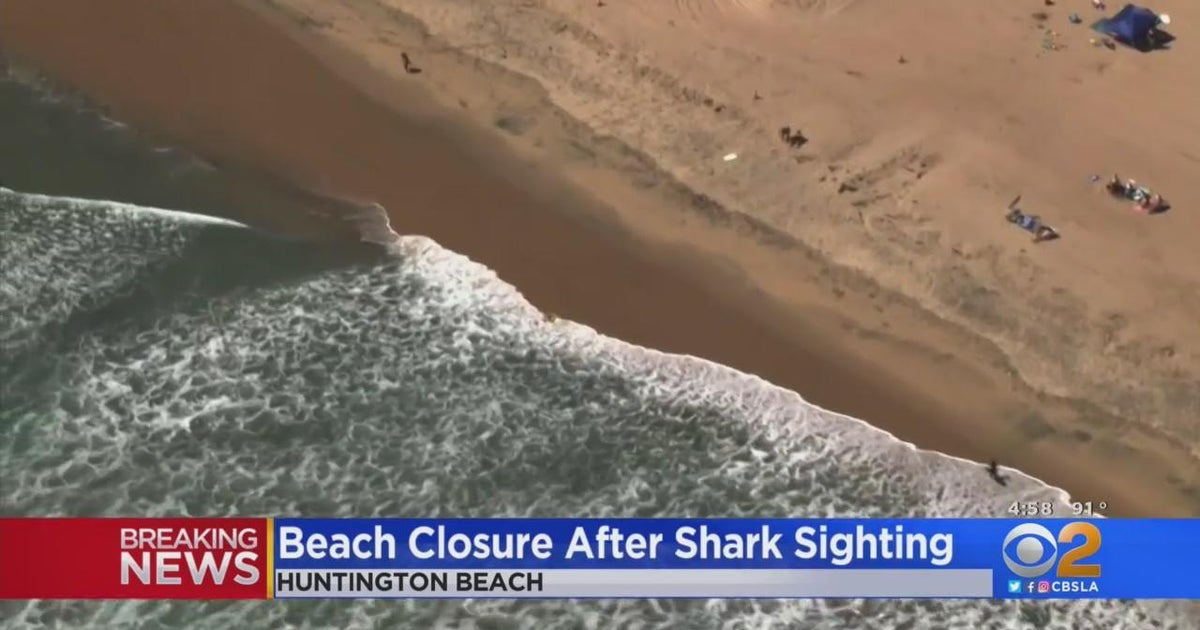 Huntington Beach closes after shark sighting - CBS Los Angeles