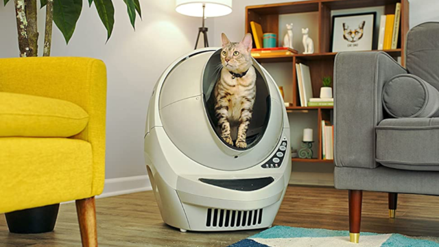 litter-robot-header.png 