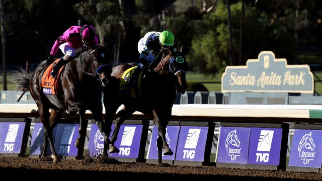 Breeders Cup World Championships 
