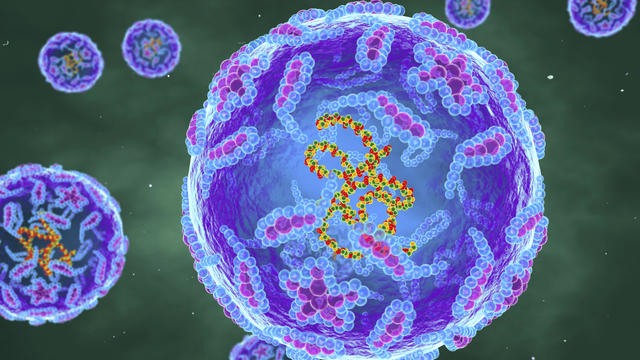 Polio viruses, illustration 