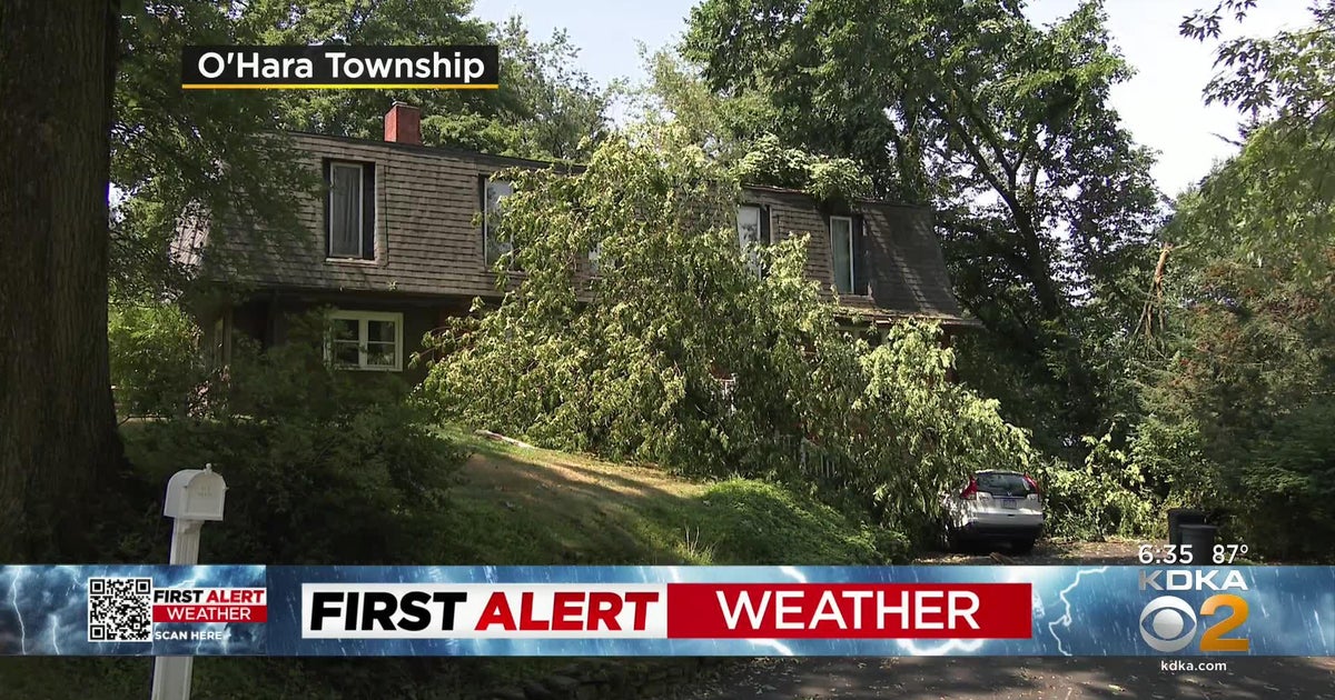 Tree crashes into home in O'Hara Township - CBS Pittsburgh