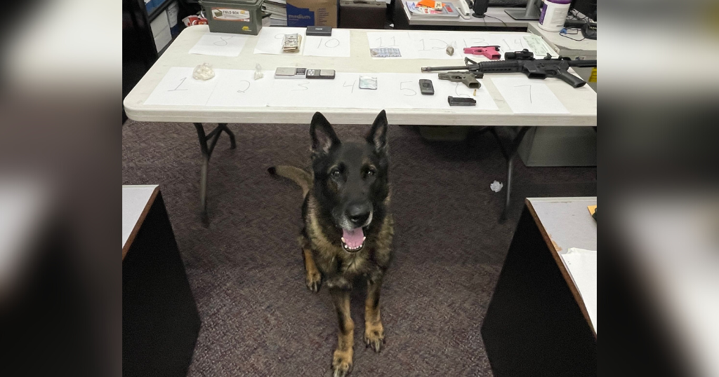 2 arrested after police seize drugs, guns in Beaver Falls - Vimarsana News