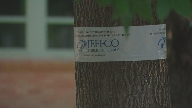 jeffco-public-schools-tree-preservation.jpg 