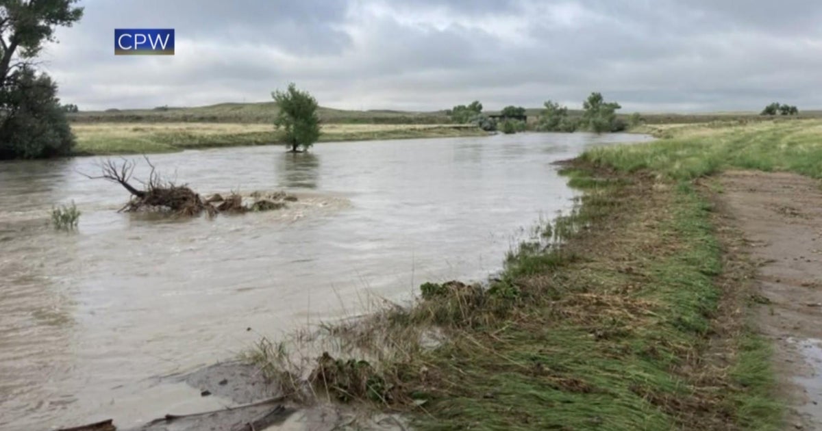 ᐅ Spinney Mountain Reservoir fishing reports🎣• Woodland Park, CO ...