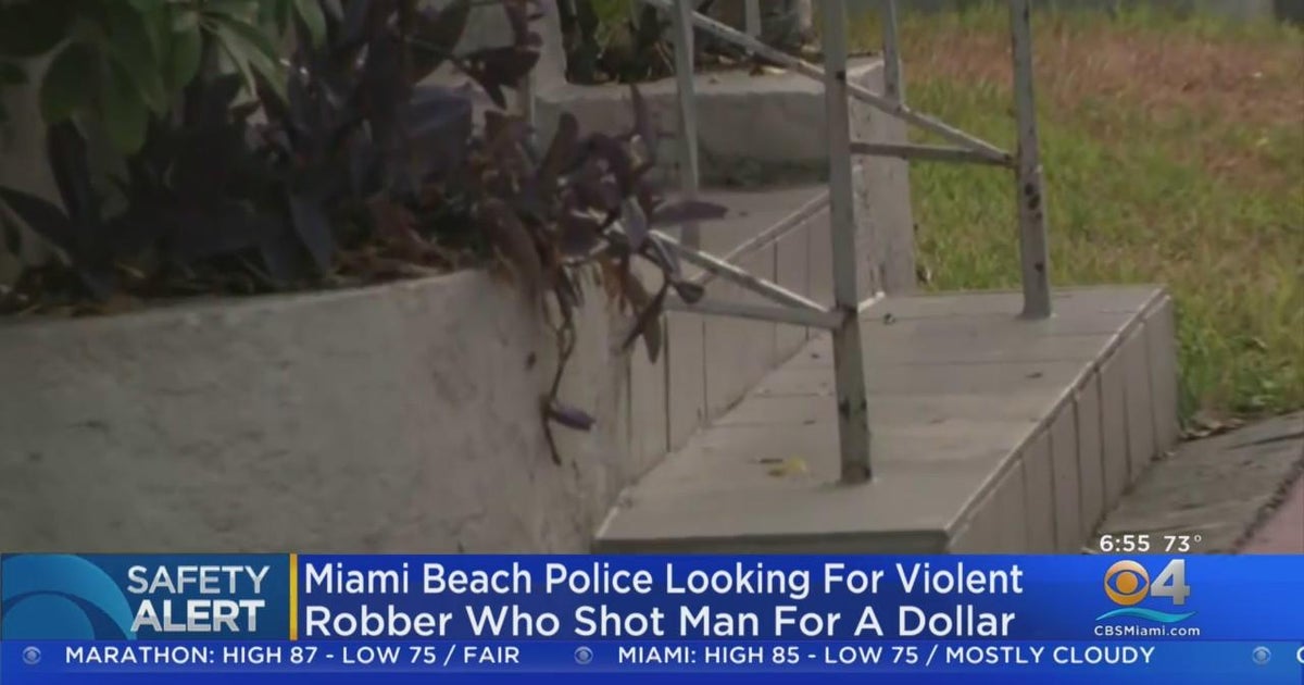 Tourist in coma after Miami Beach robbery