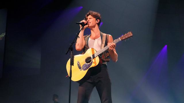 Shawn Mendes Wonder: The World Tour Opening Night 