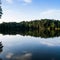 Brain-eating parasite found in Iowa lake, 1 dead
