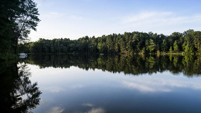 Scenic view of lake by trees in forest against sky 