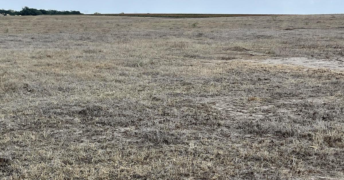 Drought-stricken rancher: "It's kind of like farming in the desert"