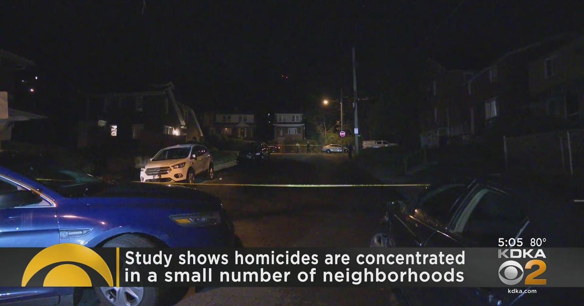 Study finds Allegheny County homicides concentrated in certain