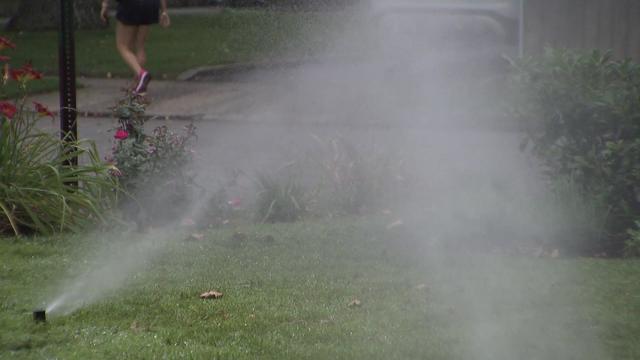 Sprinklers water a green lawn. 