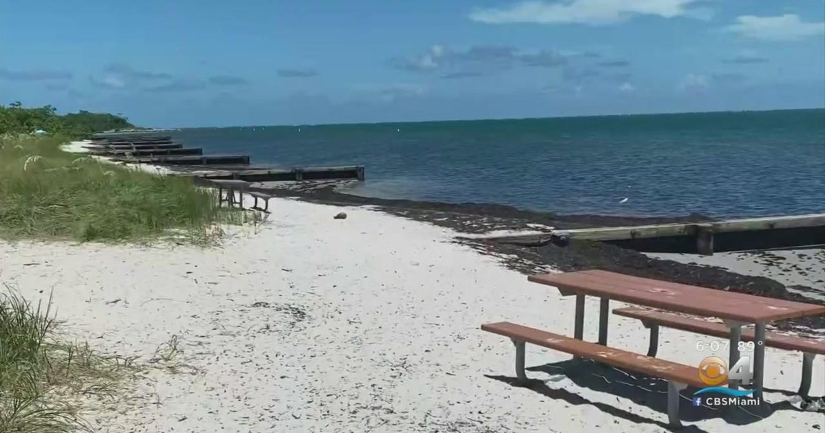 Housing the homeless brings mixed reactions to Virginia Key residents