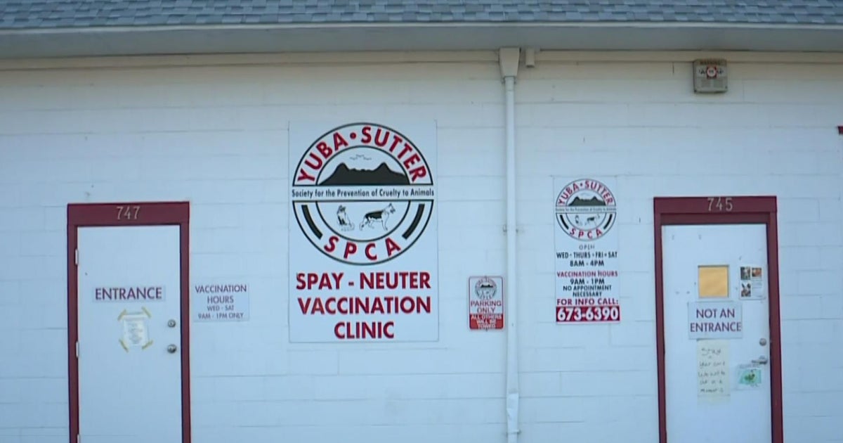 Yuba-Sutter SPCA temporarily closes after veterinarian suddenly resigns