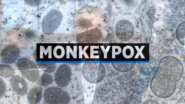 monkeybox.jpg 