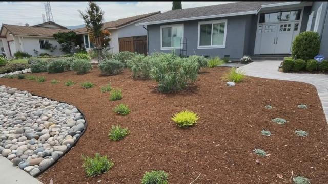 drought-friendly landscaping 