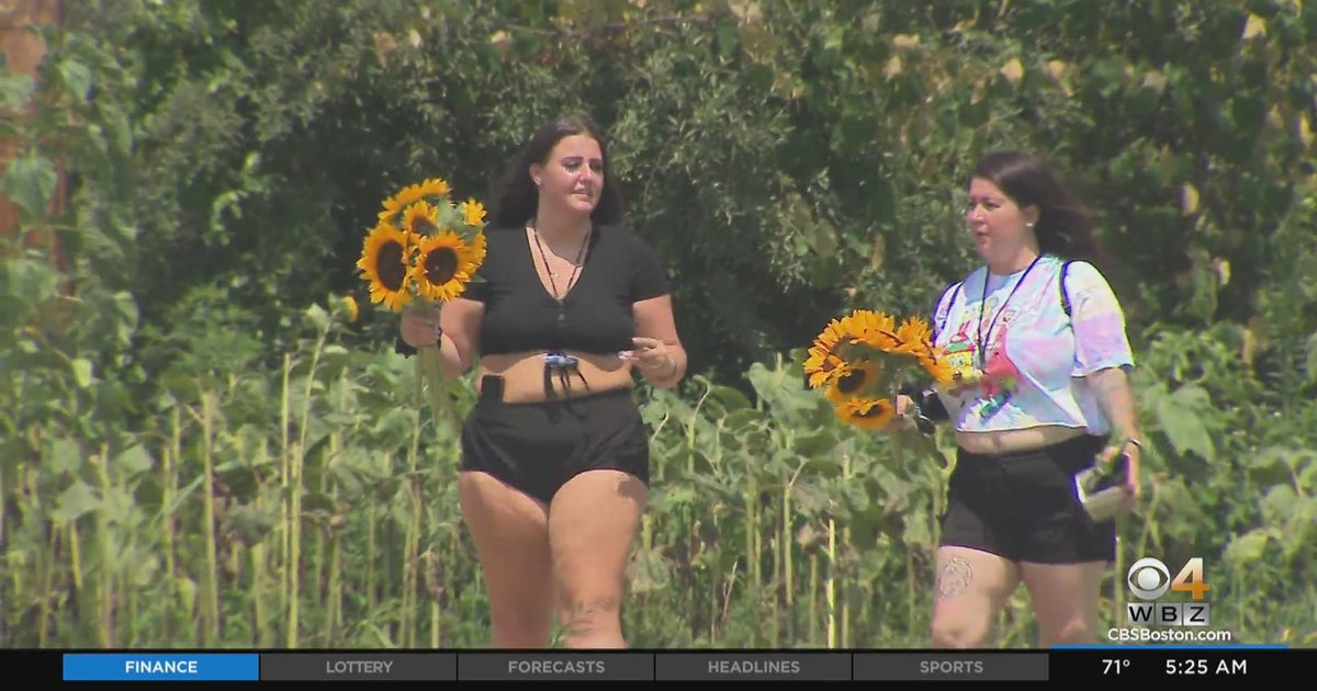 It Happens Here Pick your own flowers and food at Ward's Berry Farm in