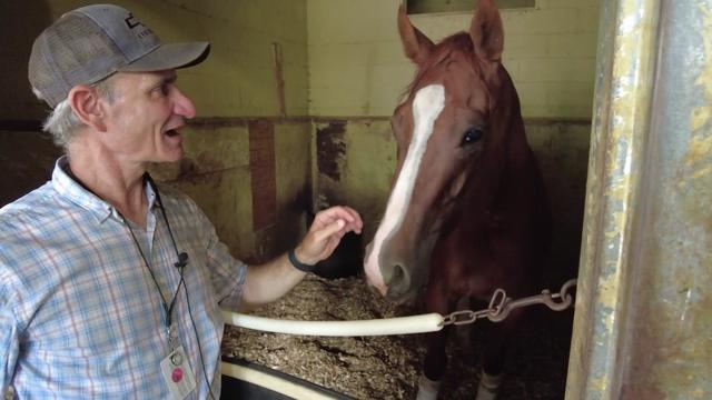Rick Schosberg stands inside a stable next to a horse. 