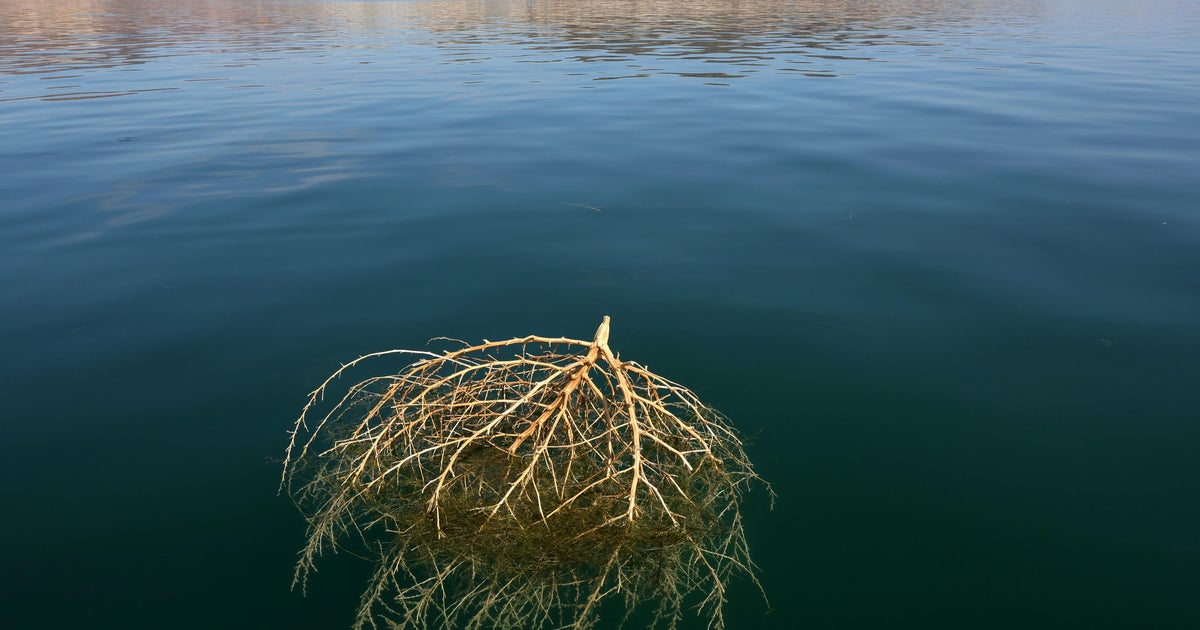 Millions at risk of power and water shortages as two of the nation's largest reservoirs on the brink of "dead pool status," U.N. warns - CBS News