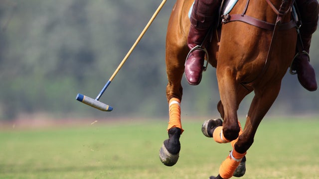 National Polo Championship 