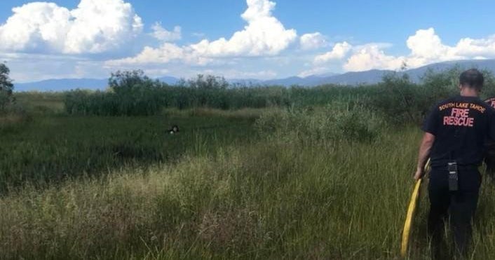 Woman rescued after getting stuck in muddy Lake Tahoe meadow