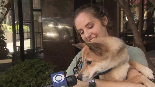 A woman holds her dog, who sniffs a CBS2 microphone. 