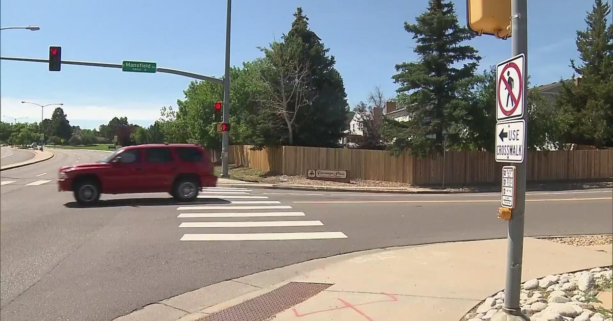 Search continues for hit & run driver who killed a man, 2 dogs on ...