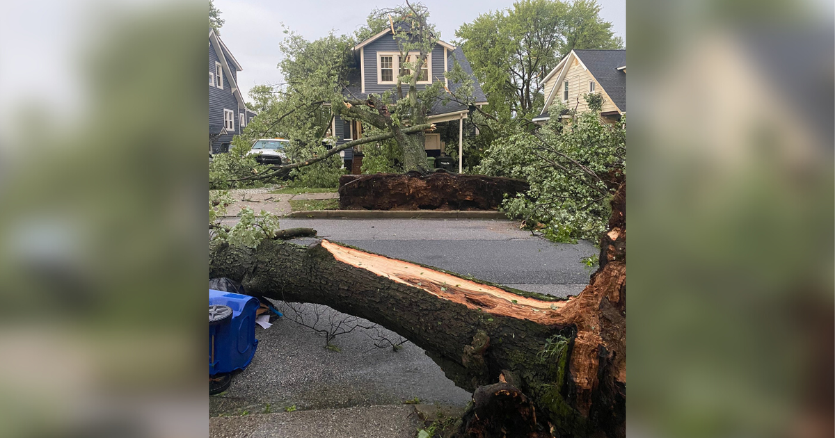Storms leave trail of felled trees, power outages across Maryland CBS