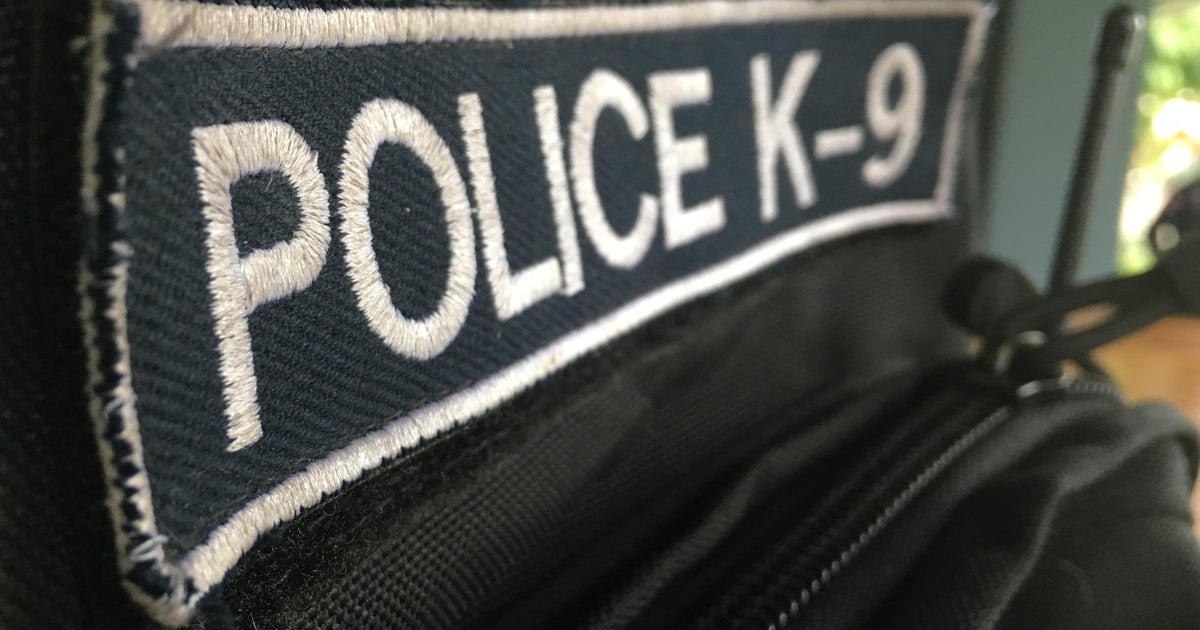 American Canyon police K9 bites bystander during arrest of felony suspect