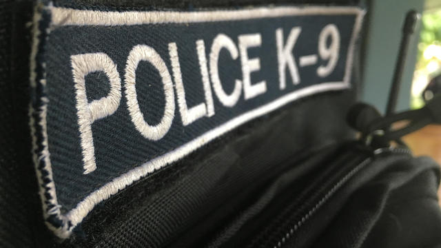 police k-9 badge 