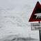 Polar bear injures woman at remote Arctic campsite in Norway
