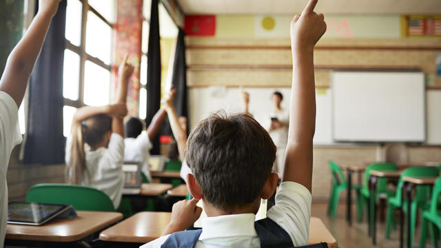 Rear view of boy with raised hand in class 
