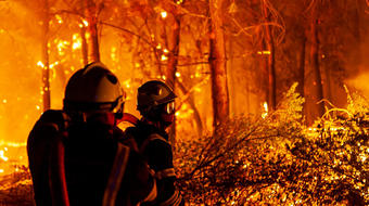 Thousands flee homes as raging wildfire chars France's wine country 