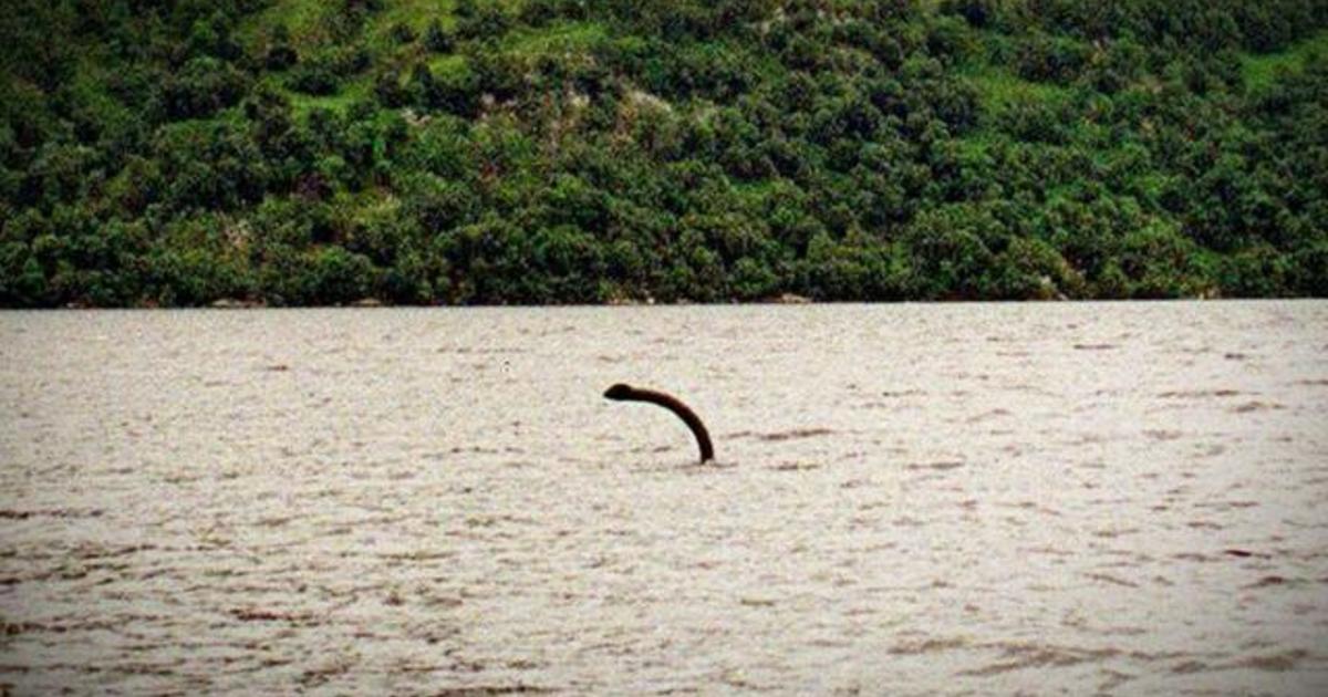 Discovery fuels Loch Ness Monster believers
