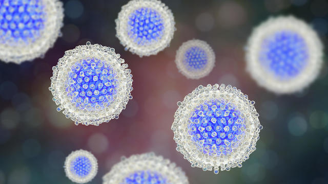 Hepatitis C Virus particles, illustration 