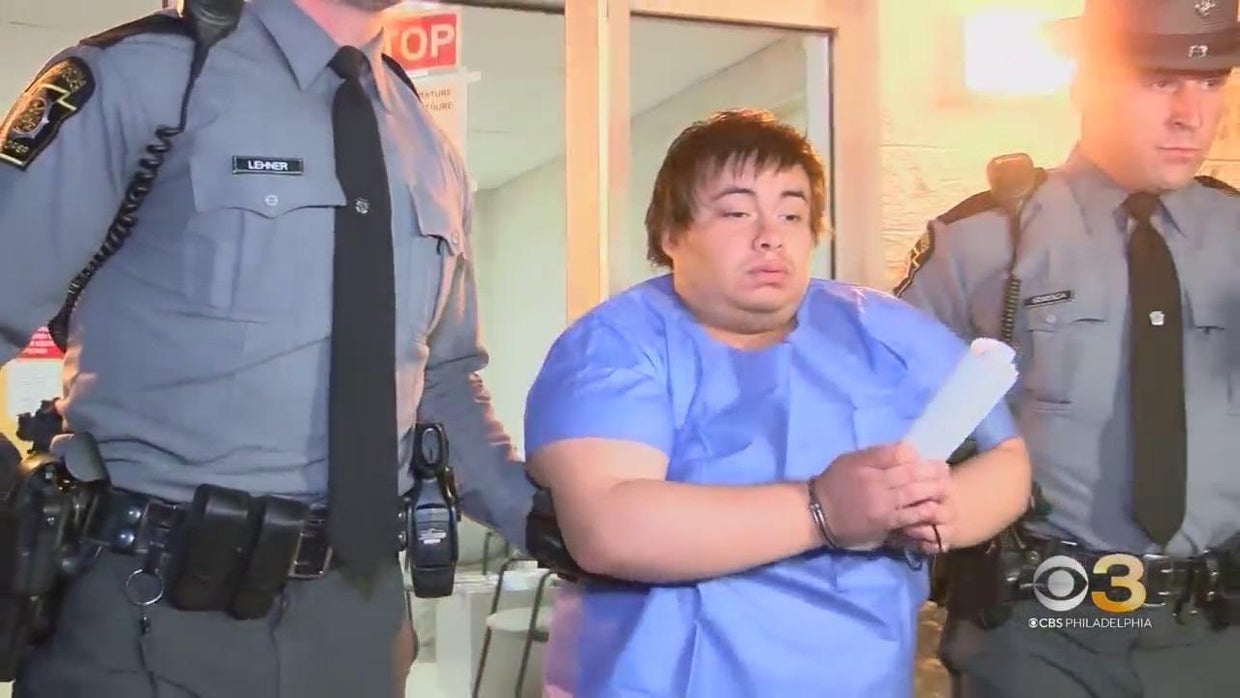 Suspect beat mother to death with hammer after killing 1, injuring 17