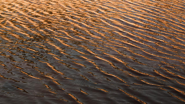 The water surface in the river ripples, waves in the sea in the sunlight, during sunset. 