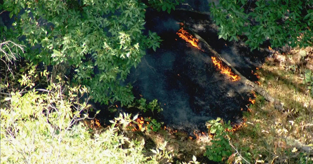 Breakheart Reservation Closed Until Further Notice Due To Brush Fire Cbs Boston 8247