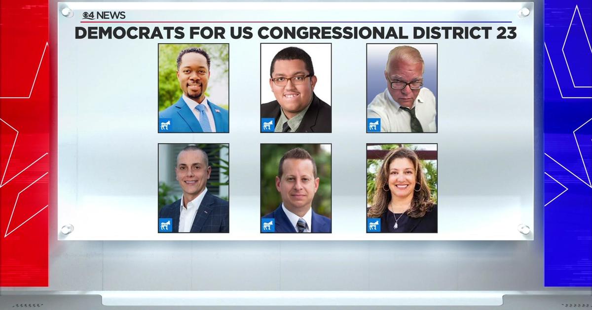 Democratic candidates running for Congressional District 23