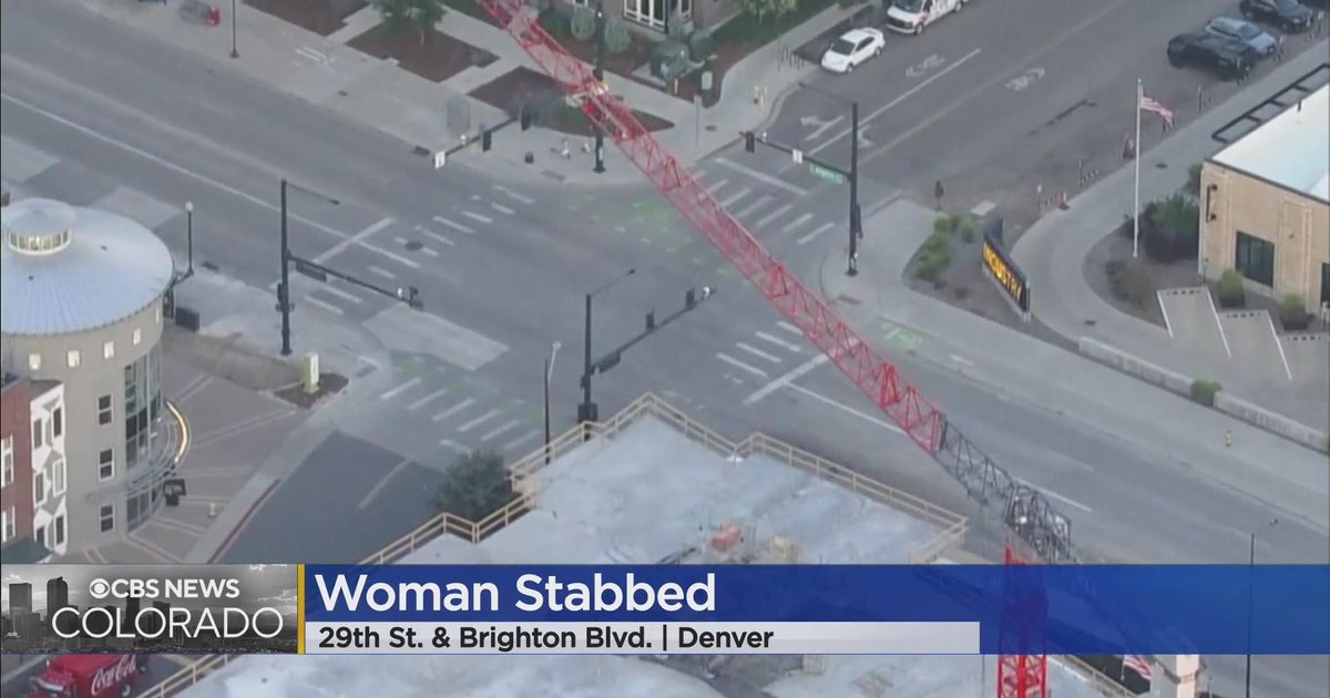 Shelter in place lifted after stabbing suspect was arrested - CBS Colorado