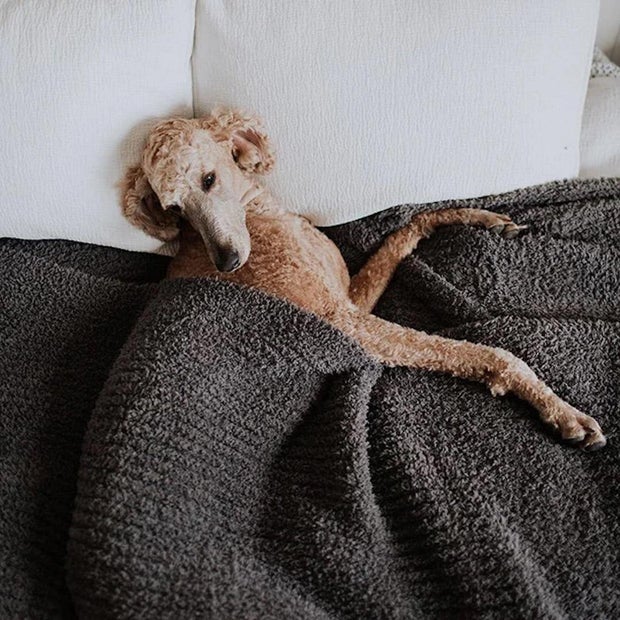 Big Blanket Co. Premier Plush Blanket