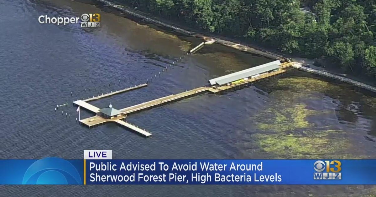 Health officials warn of high bacteria levels at Sherwood Forest Pier