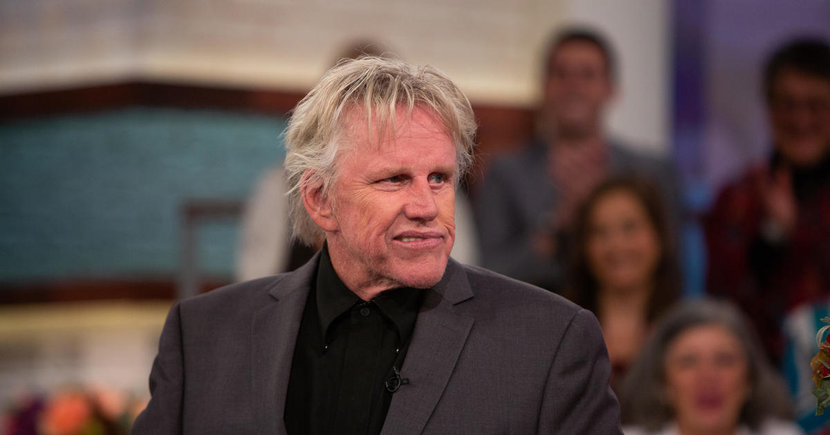 Gary Busey billed with sex offenses at Monster-Mania Con in New Jersey