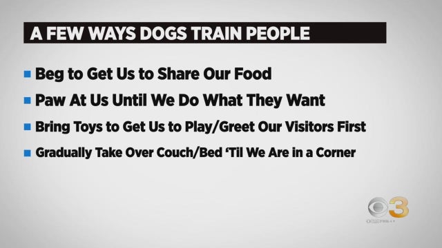 CBS3 Pet Project: Learn about how your dog is training you
