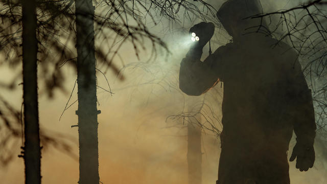 Silhouette Man Standing By Bare Tree In Forest 