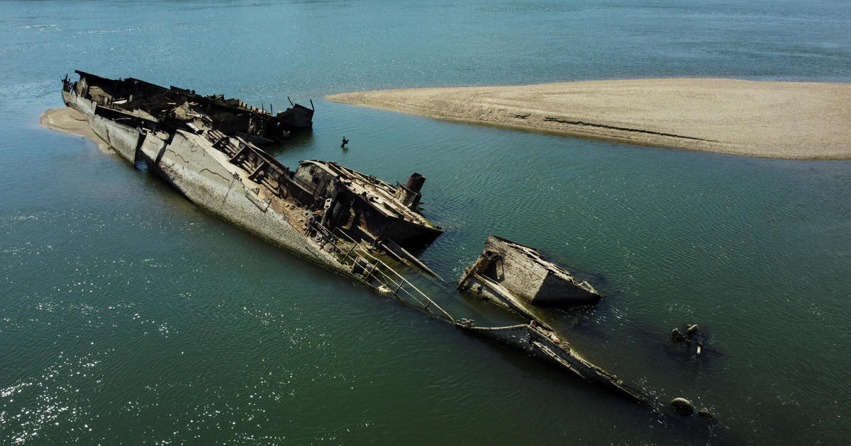 Dozens of sunken WWII German ships resurface along Danube River as water levels hit record low