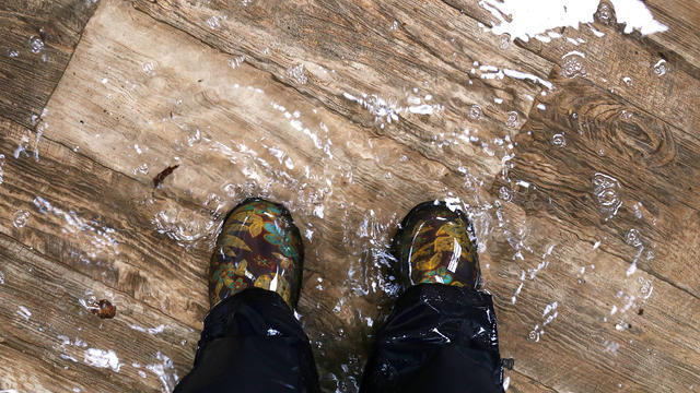 Woman's Feet Wearing Waterproof Boots, Standing in a Flooded House with Vinyl Wood Floors. 