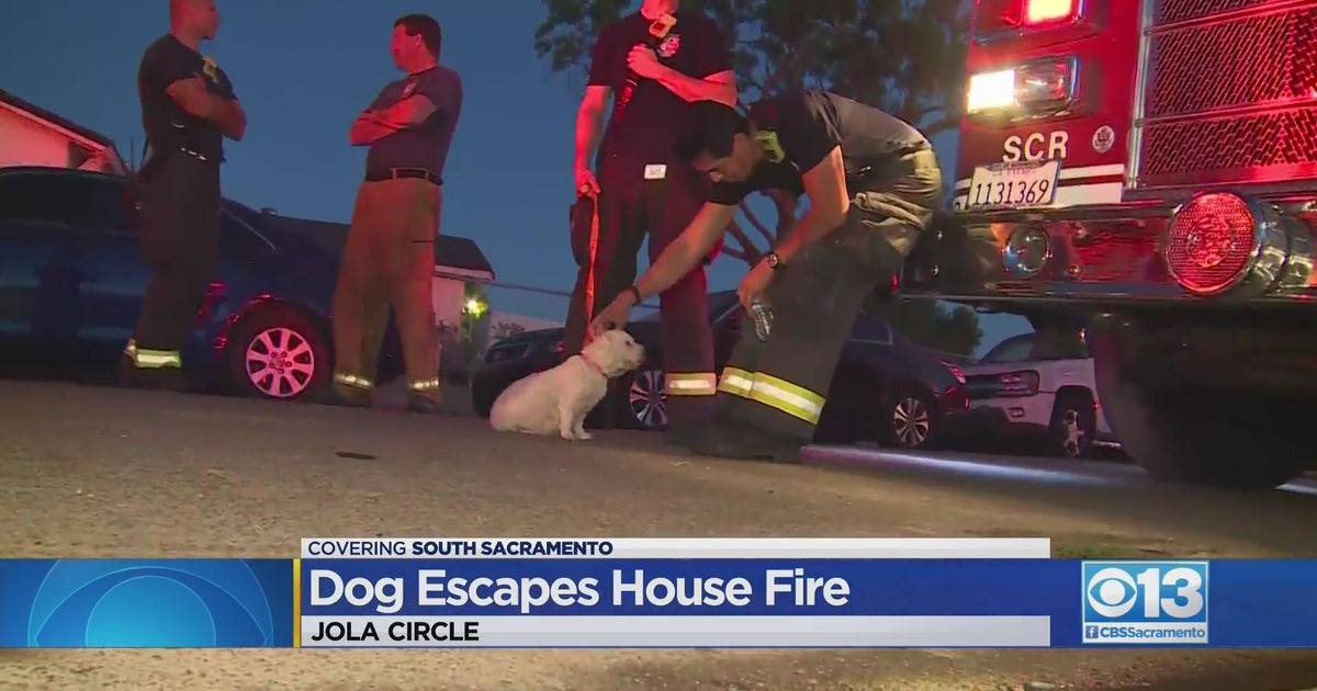 Dog escapes from house fire in Sacramento - CBS Sacramento