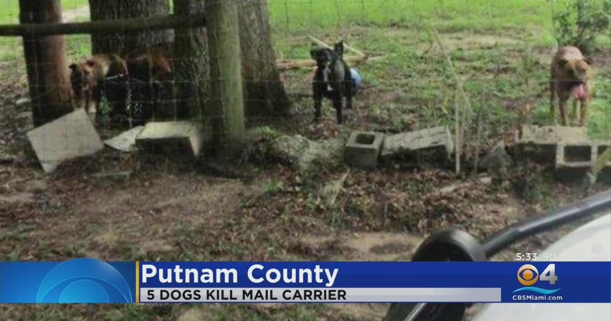 Postal worker dies after being mauled by 5 dogs - CBS Miami